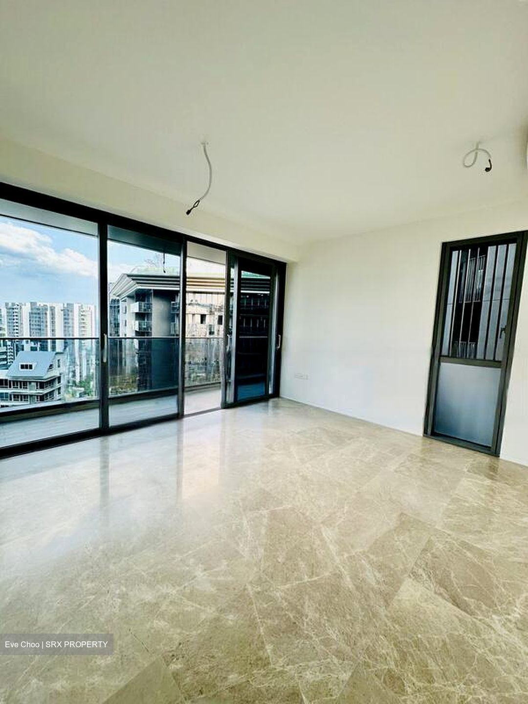 Amber Park (D15), Condominium #550328981